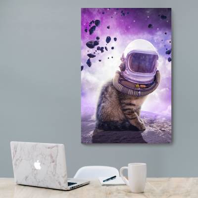 شاسی  catstronaut