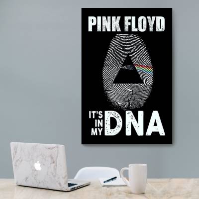 شاسی  pink floyd 42