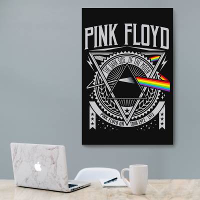 شاسی  pink floyd 50