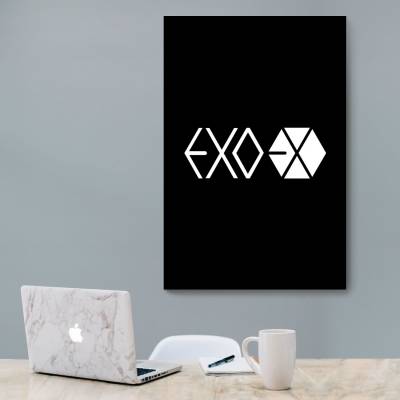 شاسی  EXO 2