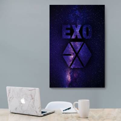 شاسی  EXO 3