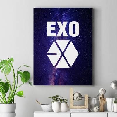 تابلو کنواس EXO 3