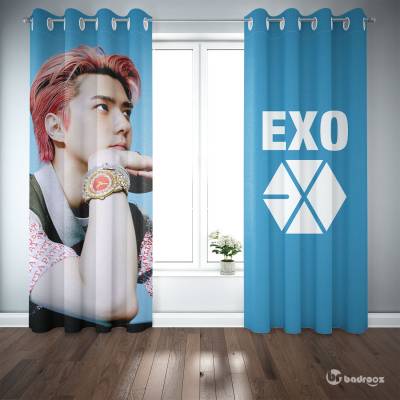 پرده پانچ EXO 3