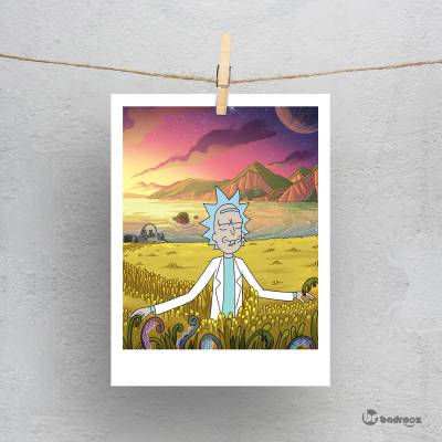 پولاروید ریک-rick&morty