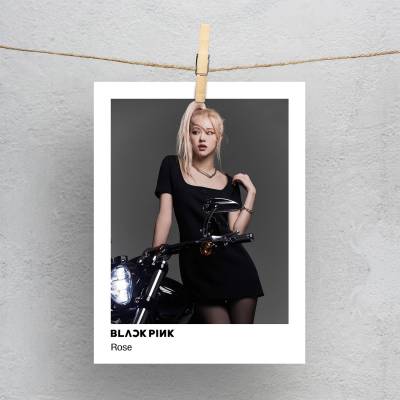 پولاروید رزی پارک