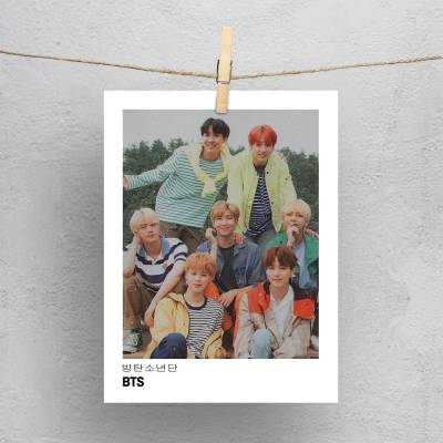 پولاروید BTS 010