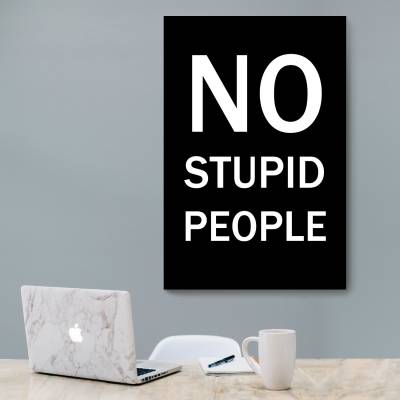 شاسی  NO STUPID PEOPLE