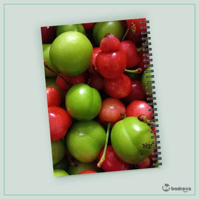 دفتر یادداشت گوجه سبز و آلبالئو