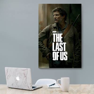 شاسی  lastofus1