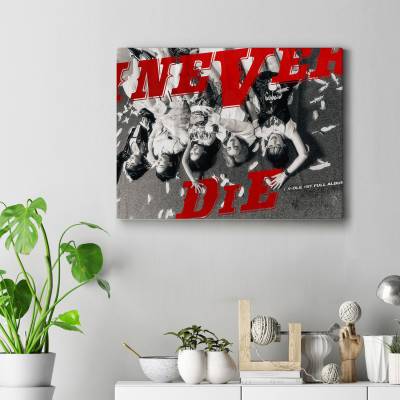 تابلو کنواس (بوم) gidle i never die