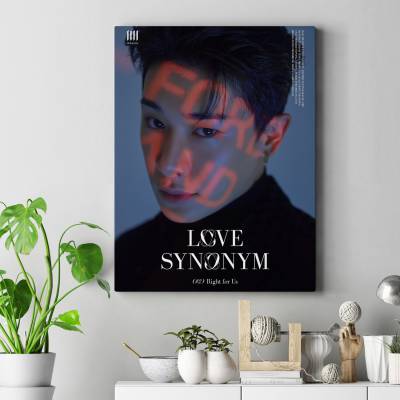 تابلو کنواس (بوم) wonho Love Synonym