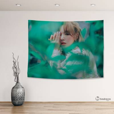 بک دراپ red velvet wendy 