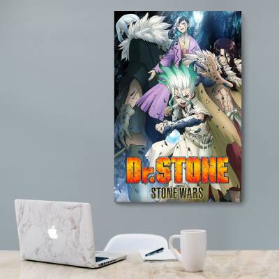 شاسی  Dr. Stone 3