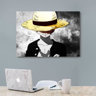 شاسی  one piece 14