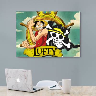 شاسی  one piece 17