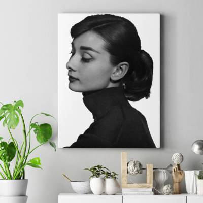 قاب کنواس Audrey