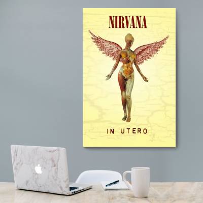 شاسی  nirvana In Utero 2