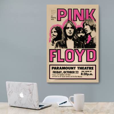 شاسی  pink floyd concert