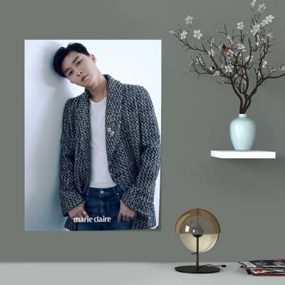 پوستر سیلک Park SeoJoon