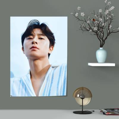 پوستر سیلک Park Seo Joon