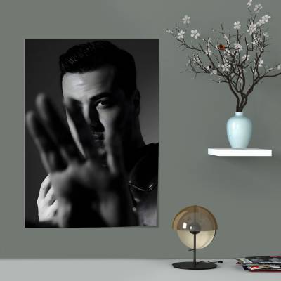 پوستر سیلک آریا کئوکسر - 2