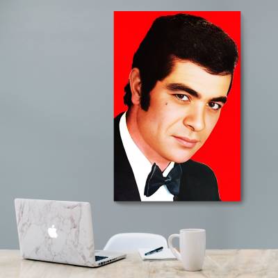 شاسی  بهروز وثوقی - 1