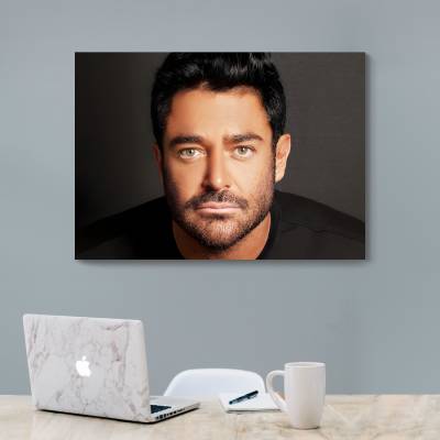 شاسی  محمد رضا گلزار - 1