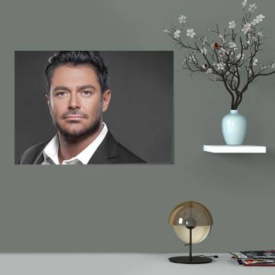 پوستر سیلک محمد رضا گلزار - 3