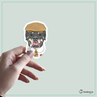استیکر و برچسب Handsome Dog