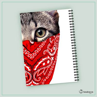 دفتر یادداشت گربه