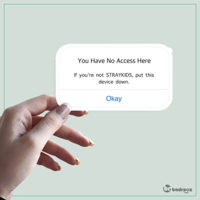 استیکر و برچسب Access- SKZ