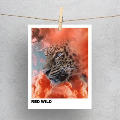 پولاروید(فتوکارت) یوز پلنگ RED WILD