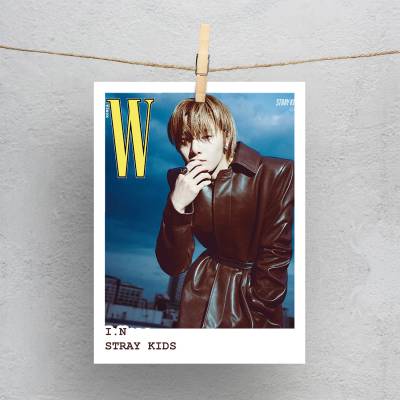 پولاروید(فتوکارت) stray kids i.n