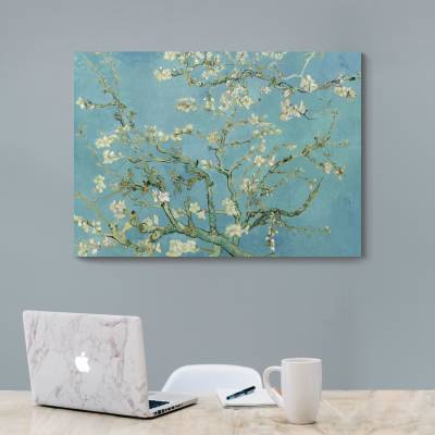 شاسی  شکوفه های بادام almond blossoms ونگوگ 