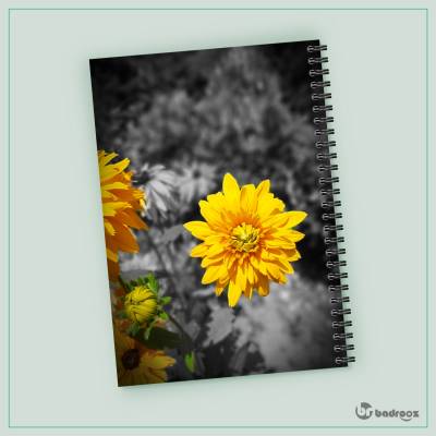 دفتر یادداشت گل 2