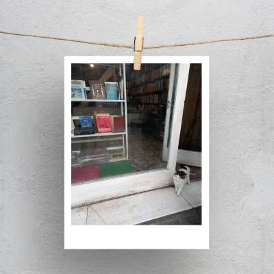 پولاروید(فتوکارت) پیشول در کتابخانه