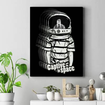 قاب کنواس Captive in space