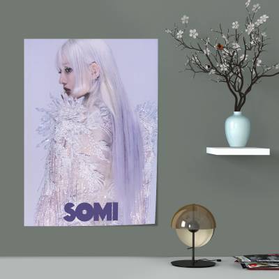 پوستر سیلک somi