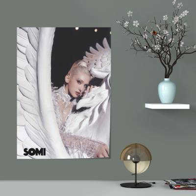 پوستر سیلک somi 5