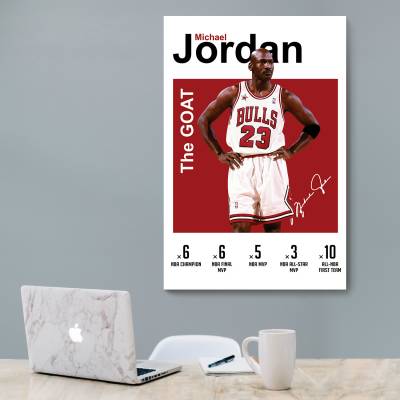 شاسی  مایکل جردن (Michael Jordan) - 1