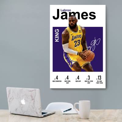 شاسی  لبرون جیمز (Lebron James)