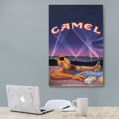 شاسی  Camel