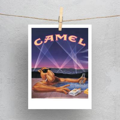 پولاروید(فتوکارت) Camel