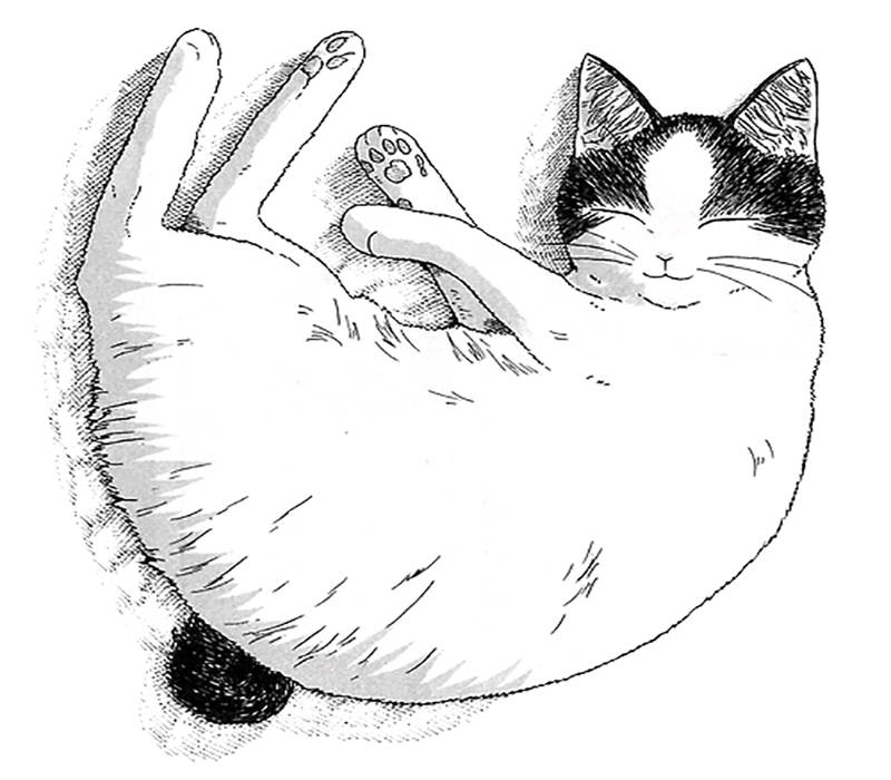 خرید محصولات از meytok nik