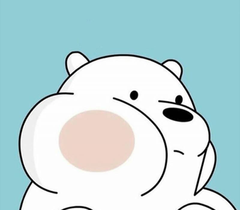 خرید محصولات از Moonlight 