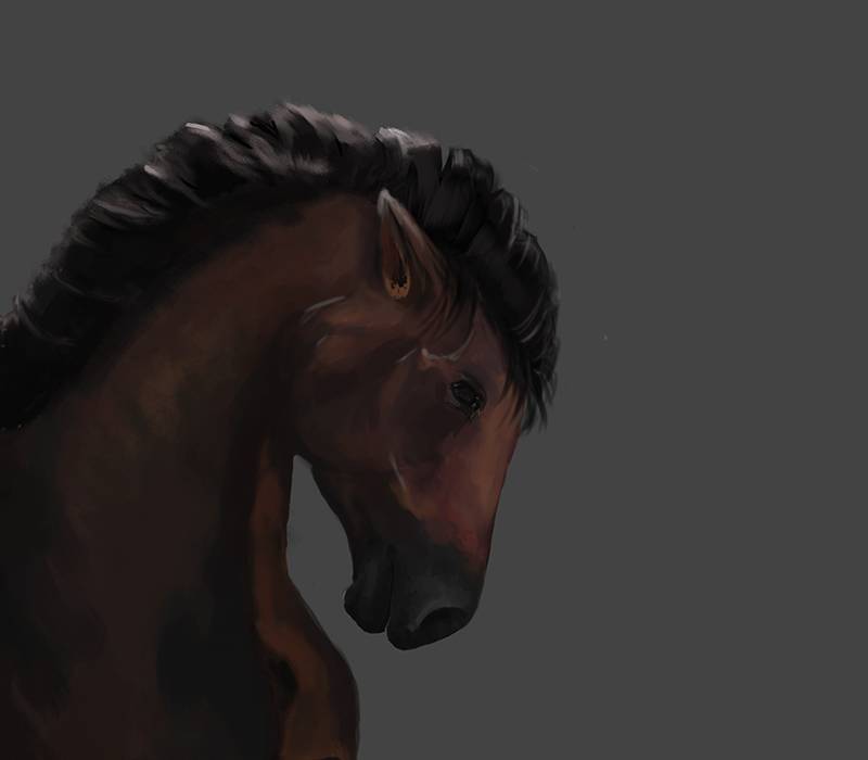 خرید محصولات از Fresh Ink