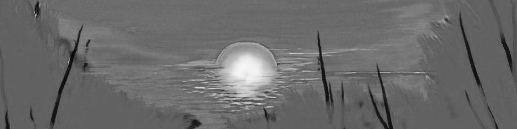 خرید محصولات از ذهن زیبا