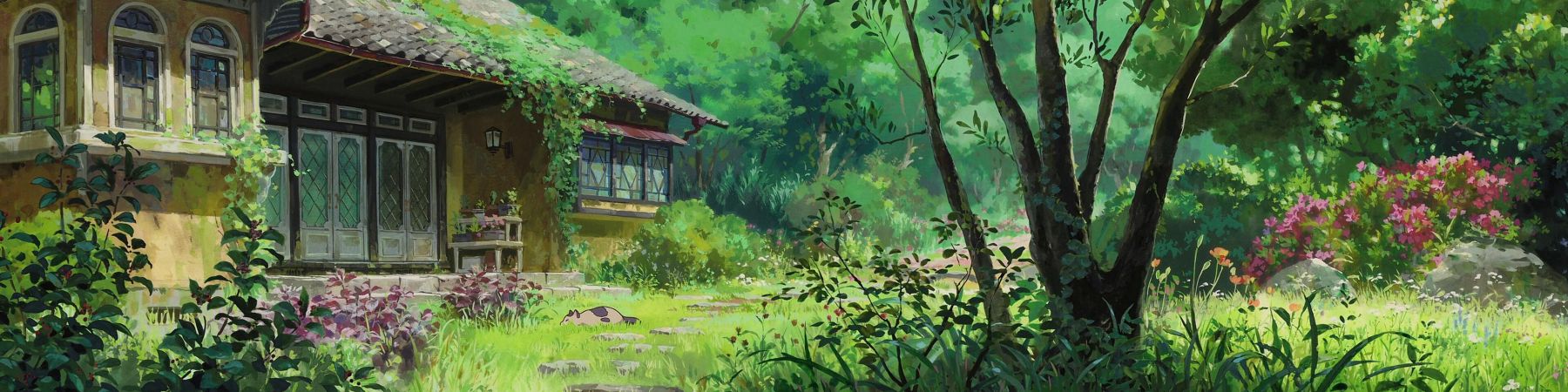 خرید محصولات از فروشگاه کیکی