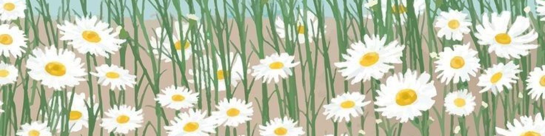 خرید محصولات از lili gallery