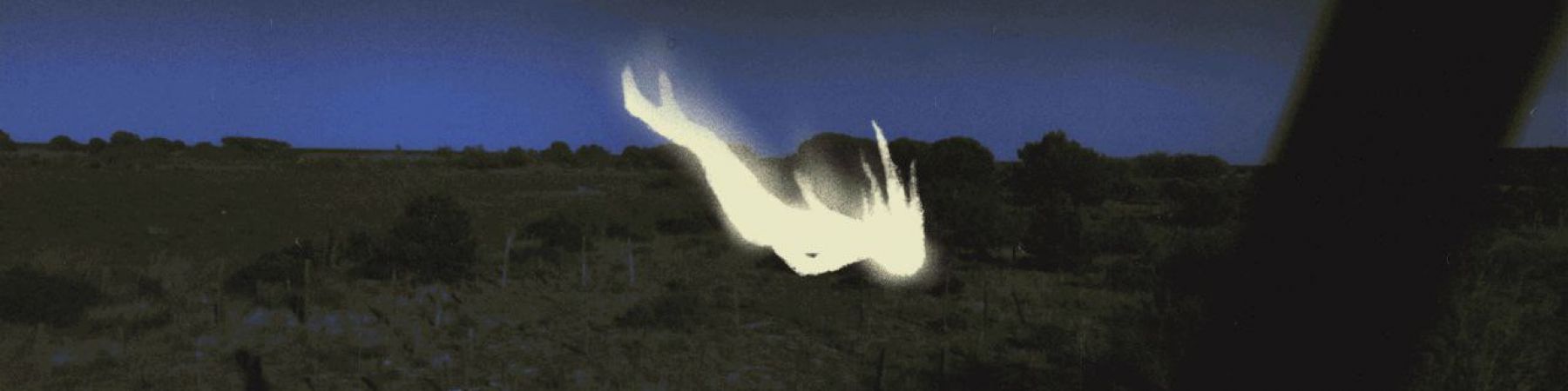 خرید محصولات از padimind